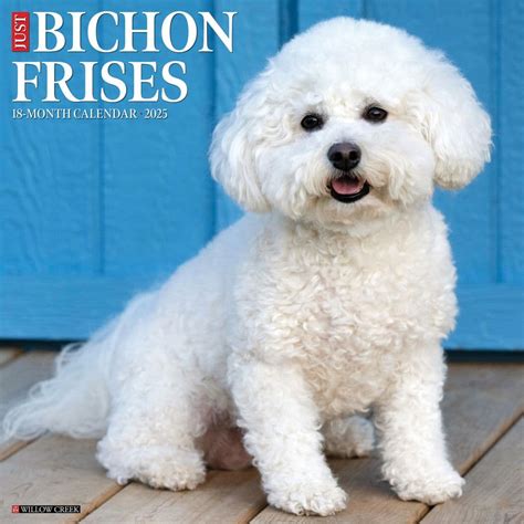 bichon frise gifts|bichon frise collectibles calendars.